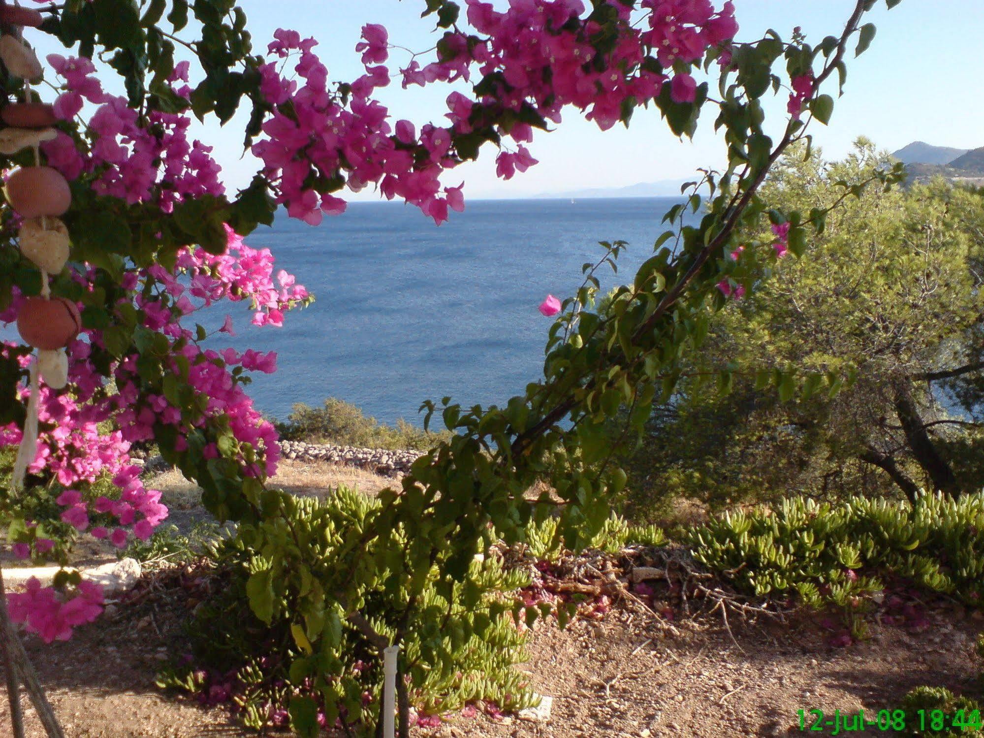 Kavos Bay Seafront Hotel Agia Marina  外观 照片
