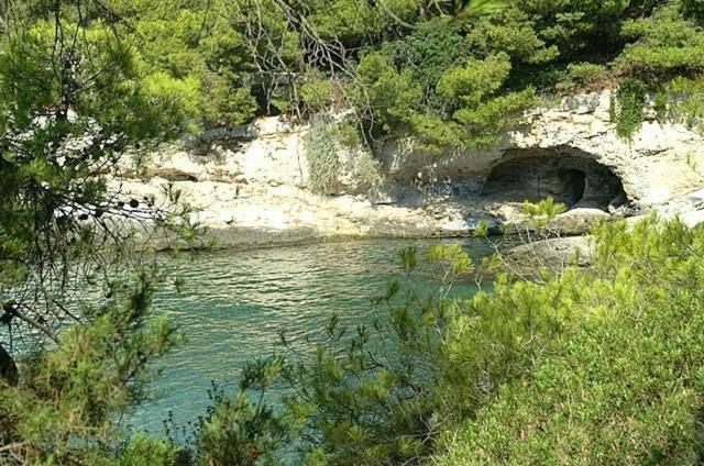 Kavos Bay Seafront Hotel Agia Marina  外观 照片